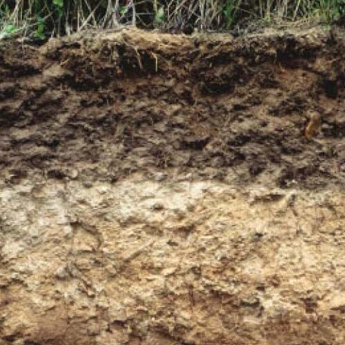 Wisconsin State Soil Antigo